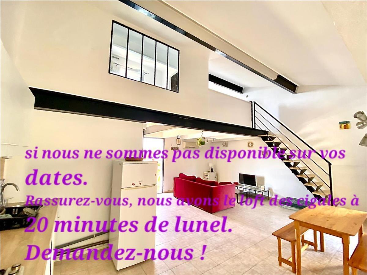 Loft d'Ambrussum Villa Lunel  Eksteriør billede